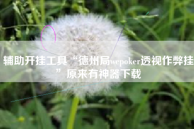 辅助开挂工具“德州局wepoker透视作弊挂”原来有神器下载