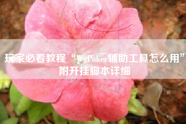 玩家必看教程“WePoker辅助工具怎么用”附开挂脚本详细