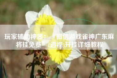 玩家辅助神器：“微信游戏雀神广东麻将挂免费	”(透视)开挂详细教程