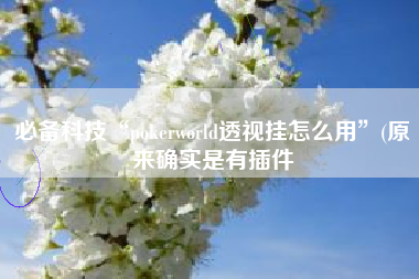 必备科技“pokerworld透视挂怎么用	”(原来确实是有插件