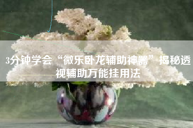 3分钟学会“微乐卧龙辅助神器”揭秘透视辅助万能挂用法
