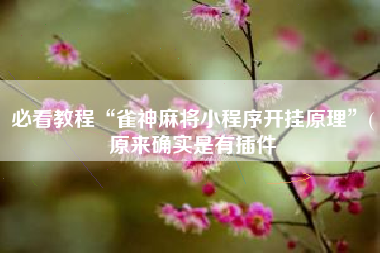 必看教程“雀神麻将小程序开挂原理	”(原来确实是有插件