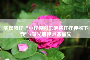 实操教程“小程序微乐麻将开挂神器下载	”(曝光透视必备猫腻