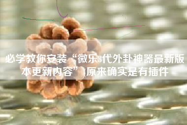 必学教你安装“微乐3代外卦神器最新版本更新内容	”(原来确实是有插件