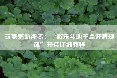 玩家辅助神器：“微乐斗地主拿好牌规律”开挂详细教程