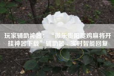 玩家辅助神器：“微乐贵阳捉鸡麻将开挂神器下载	”辅助器 - 实时智能回复