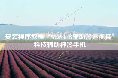 安装程序教程“WEPokeR辅助器透视挂”科技辅助神器手机