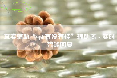 真实辅助“wpk有没有挂”辅助器 - 实时智能回复