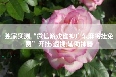 独家实测“微信游戏雀神广东麻将挂免费”开挂(透视)辅助神器