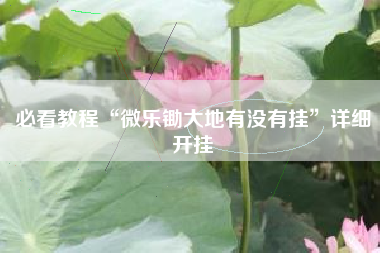 必看教程“微乐锄大地有没有挂”详细开挂