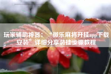 玩家辅助神器：“微乐麻将开挂app下载安装”详细分享装挂步骤教程