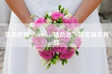 实操教程“wePoker辅助器	”其实确实有挂