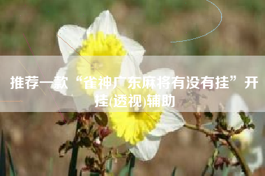 推荐一款“雀神广东麻将有没有挂”开挂(透视)辅助