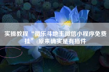 实操教程“微乐斗地主微信小程序免费挂”(原来确实是有插件