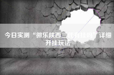 今日实测“微乐陕西三代有挂吗”详细开挂玩法