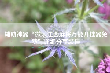 辅助神器“微乐江西麻将万能开挂器免费	”详细分享装挂
