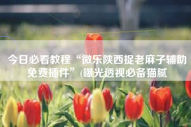 今日必看教程“微乐陕西捉老麻子辅助免费插件”(曝光透视必备猫腻