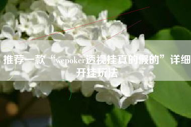 推荐一款“wepoker透视挂真的假的”详细开挂玩法