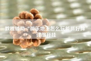 教程辅助“微乐地主怎么玩能抓好牌”详细开挂 教程辅助“微乐地主怎么玩能抓好牌”详细开挂