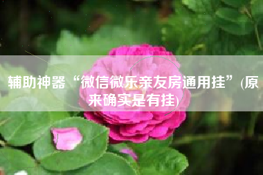 辅助神器“微信微乐亲友房通用挂”(原来确实是有挂)