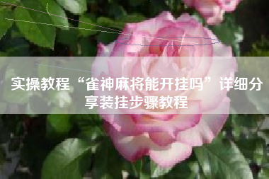 实操教程“雀神麻将能开挂吗”详细分享装挂步骤教程