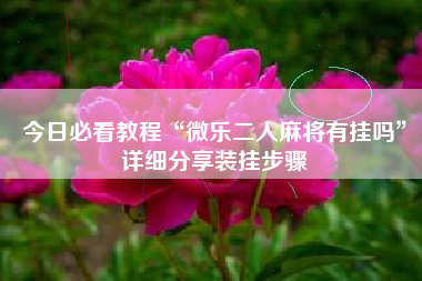 今日必看教程“微乐二人麻将有挂吗	”详细分享装挂步骤