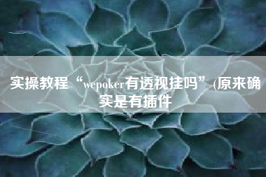 实操教程“wepoker有透视挂吗	”(原来确实是有插件