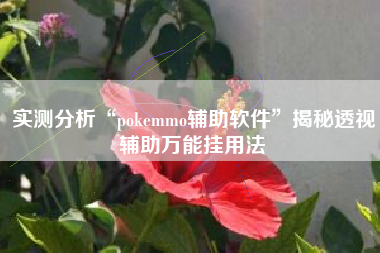 实测分析“pokemmo辅助软件”揭秘透视辅助万能挂用法