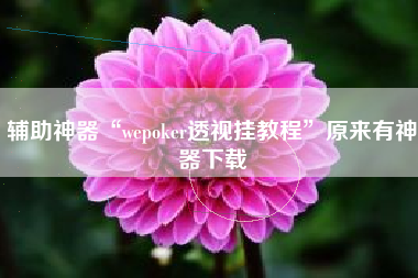 辅助神器“wepoker透视挂教程”原来有神器下载