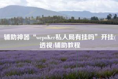 辅助神器“wepoKer私人局有挂吗”开挂(透视)辅助教程