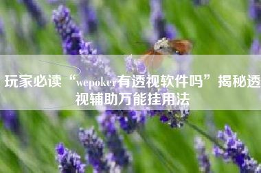 玩家必读“wepoker有透视软件吗”揭秘透视辅助万能挂用法