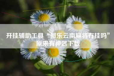 开挂辅助工具“微乐云南麻将有挂吗”原来有神器下载