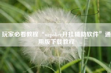 玩家必看教程“wepoker开挂辅助软件”通用版下载教程