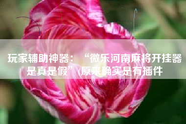 玩家辅助神器:“微乐河南麻将开挂器是真是假”(原来确实是有插件 玩家辅助神器:“微乐河南麻将开挂器是真是假”(原来确实是有插件