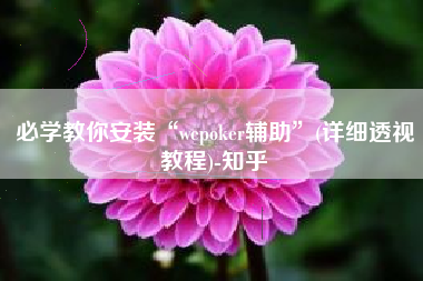 必学教你安装“wepoker辅助	”(详细透视教程)-知乎