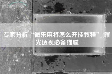 专家分析“微乐麻将怎么开挂教程”(曝光透视必备猫腻 专家分析“微乐麻将怎么开挂教程”(曝光透视必备猫腻