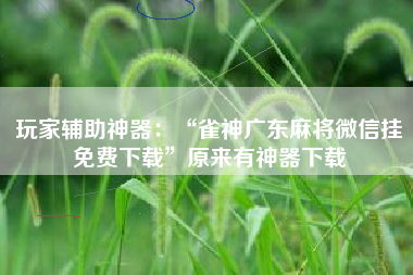 玩家辅助神器：“雀神广东麻将微信挂免费下载	”原来有神器下载