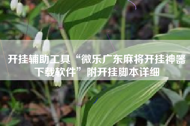 开挂辅助工具“微乐广东麻将开挂神器下载软件”附开挂脚本详细