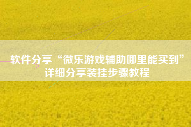 软件分享“微乐游戏辅助哪里能买到”详细分享装挂步骤教程