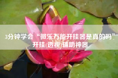 3分钟学会“微乐万能开挂器是真的吗”开挂(透视)辅助神器