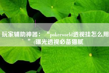 玩家辅助神器：“pokerworld透视挂怎么用”(曝光透视必备猫腻