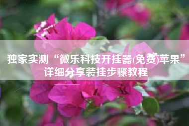 独家实测“微乐科技开挂器(免费)苹果”详细分享装挂步骤教程 独家实测“微乐科技开挂器(免费)苹果”详细分享装挂步骤教程