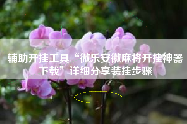 辅助开挂工具“微乐安徽麻将开挂神器下载”详细分享装挂步骤