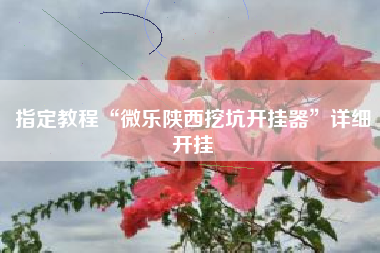 指定教程“微乐陕西挖坑开挂器”详细开挂 指定教程“微乐陕西挖坑开挂器”详细开挂