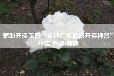 辅助开挂工具“雀神广东麻将开挂神器	”开挂(透视)辅助