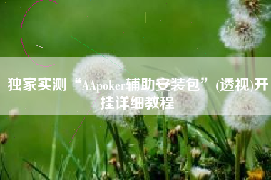 独家实测“AApoker辅助安装包”(透视)开挂详细教程