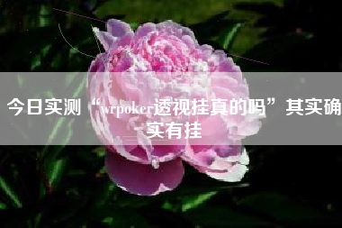 今日实测“wrpoker透视挂真的吗	”其实确实有挂