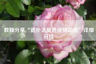 教程分享“德扑之星透视辅助器”详细开挂