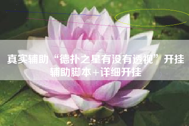 真实辅助“德扑之星有没有透视	”开挂辅助脚本+详细开挂