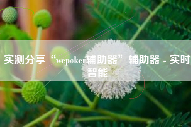 实测分享“wepoker辅助器	”辅助器 - 实时智能